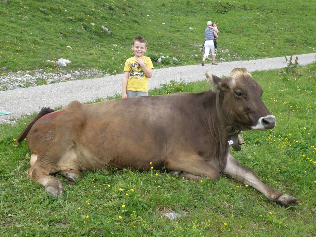 Ferienhaeuschen Kathrein Villa Ehenbichl Dış mekan fotoğraf