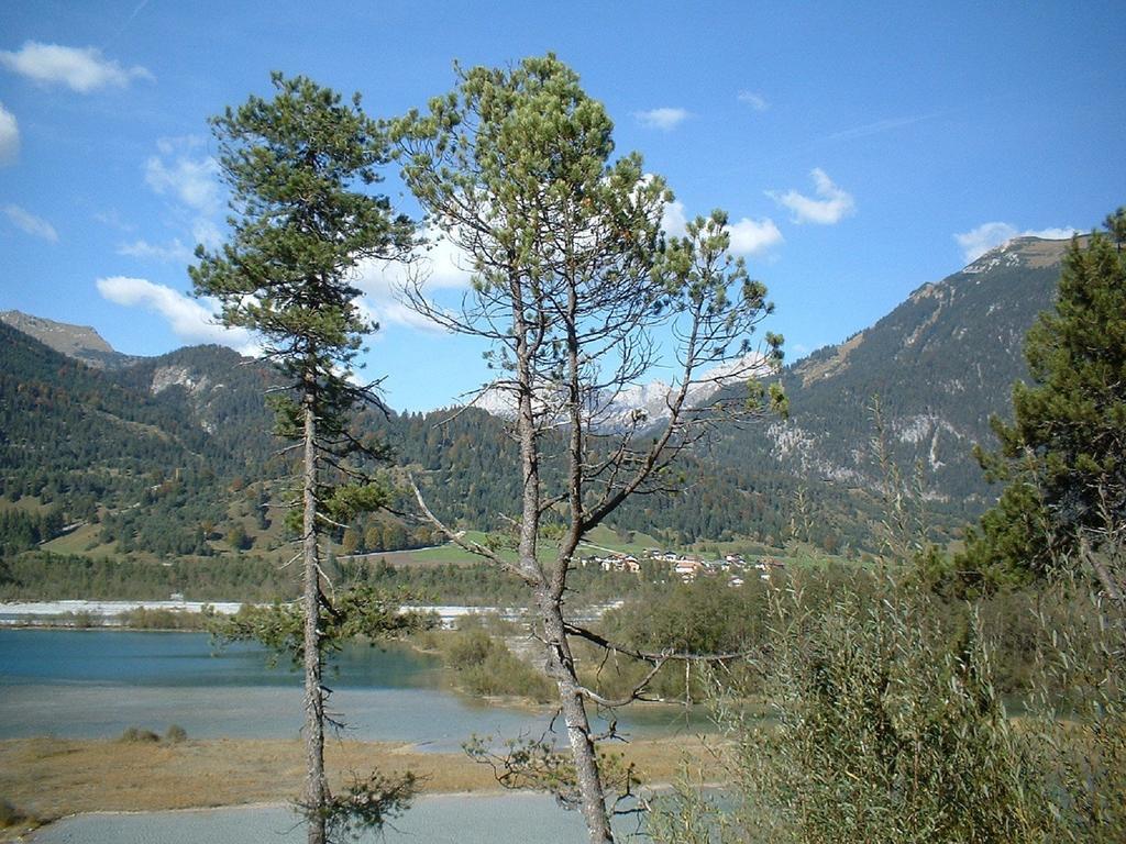Ferienhaeuschen Kathrein Villa Ehenbichl Oda fotoğraf