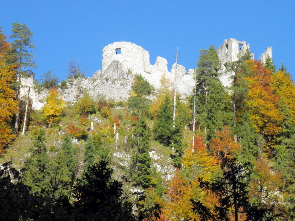 Ferienhaeuschen Kathrein Villa Ehenbichl Oda fotoğraf